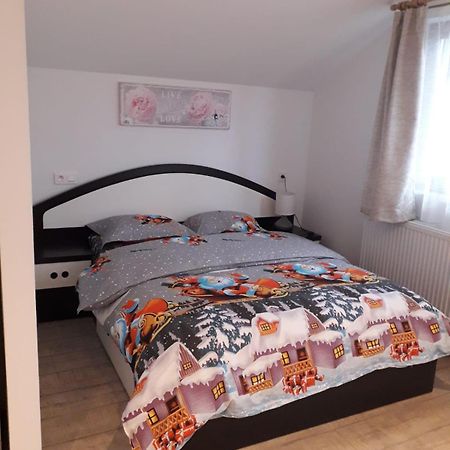 Cazare Regim Hotelier Zărneşti Екстериор снимка
